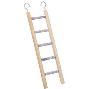 Penn Plax 5 Step Ladder   Assorted Colors   Small Bird (Quantity of 4)