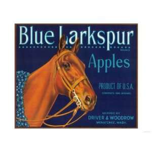 Blue Larkspur Apple Label   Wenatchee, WA Giclee Poster Print, 12x9 