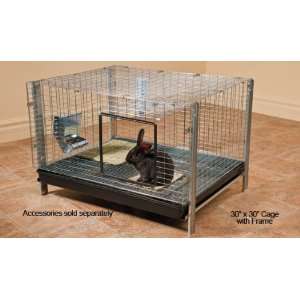  Bunny Wonder 24 x 24 Cage