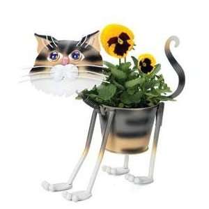  Stray Tiger Cat   indoor or outdoors (garden) décor plant 