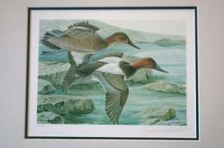 DUCKS UNLIMITED 1984 John Ruthven 1st Annual Stamp Print  