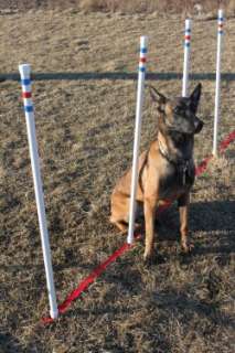 Dog Agility Equipment Stick In The Ground Weave Poles 722301782446 