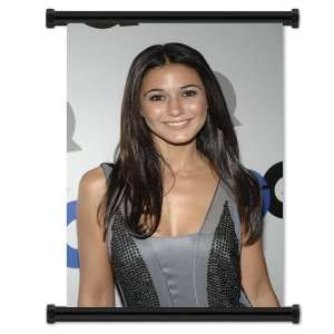  Emmanuelle Chriqui Fabric Wall Scroll Poster (16x24 