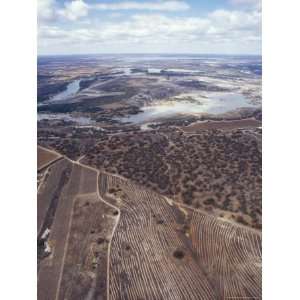  Murray River Wetland and Wineries Surrounded by Farmland 