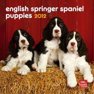 English Springer Spaniel Puppies 2012 Mini Wall Calend 9781421677590 
