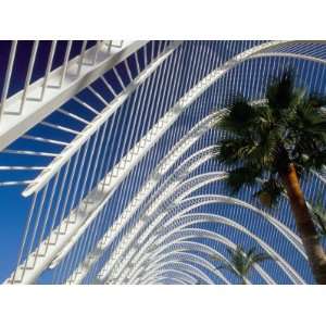 com Umbracle, City of Arts and Sciences, Architect Santiago Calatrava 