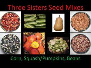 Three Sisters Vegetable Garden Seed Mixes (Corn/Maize, Squash, Beans 