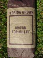 Brown Top Millet Seed 50lbs Lawn Pasture Grass Wildlife  