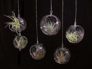Instructions Glass Orbs w Plants items in PLANT ODDITIES  