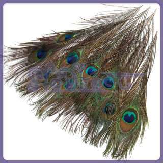 10 Peacock Feather for Mask Hat hair clip brooch Making  