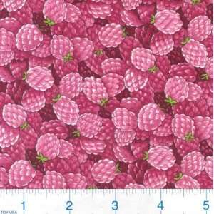  45 Wide Farmers Market Raspberries Fabric By The Yard 