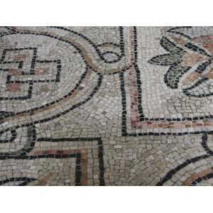 Mosaic Tile on the Floor of the Basilica di San Vitale, Ravenna, Italy 
