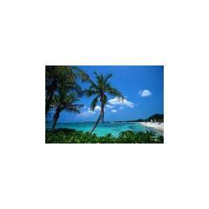  BAHAMAS and FLORIDA VACATION PACKAGE 