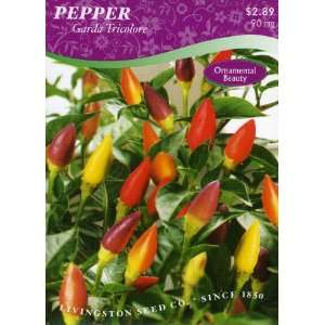   Garda Tricolore Ornamental Pepper Seeds   90 mg Patio, Lawn & Garden