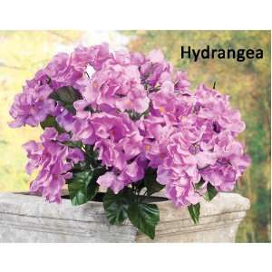  All weather Forever Bloom Pink Hydrangeas 