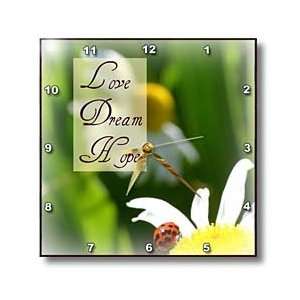  Love Dream Hope Ladybug on a Daisy Inspirational Quotes 