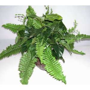  15 Mixed Greenery w/ Fern & Ivy