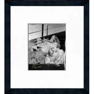  Jean Harlow Framed 8 x 10 Photograph