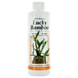    Grow More 7857 8 Ounce Lucky Bamboo 2 2 2 Patio, Lawn & Garden