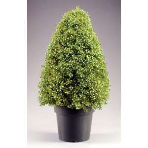  42 Potted Artificial Indoor/Outdoor Boxwood Tree
