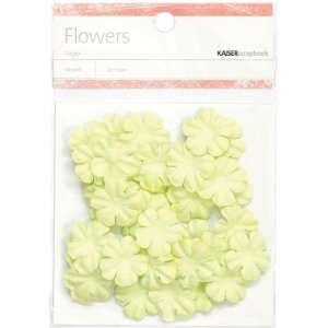  Kaisercraft Lime Paper Flowers, 2cm Arts, Crafts & Sewing