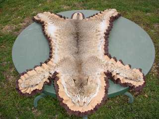 Utah Bobcat sewn rug for log cabin decor authentic item  