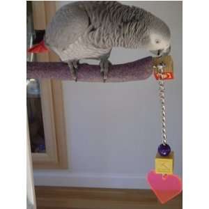 Parrotopia Sandy Perch and Play Bird Toy Size Jumbo  