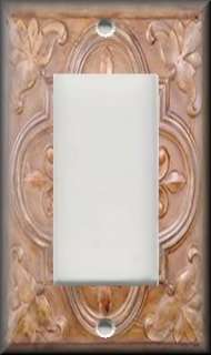   light switch plate this switch plate is a standard rocker gfi plate