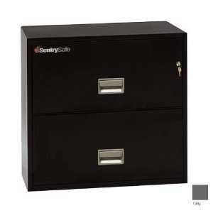  SentrySafe 2L3010 G 30 in. 2 Drawer Insulated Lateral 
