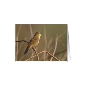 Bird Singing at Dawn Birthday Card Card