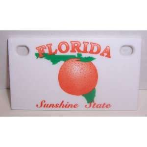  Florida You Name It Personlize Mini License Plate Tag 